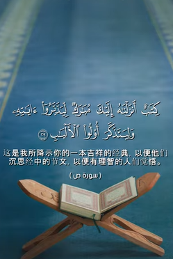 سورة ص: 29
