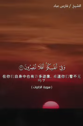 video title