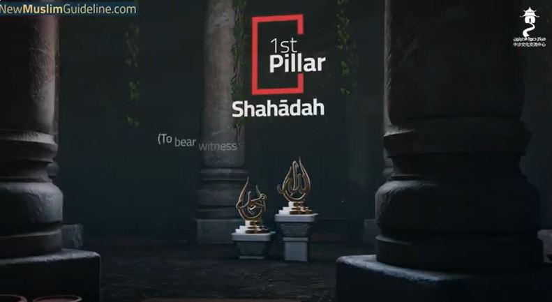 video title