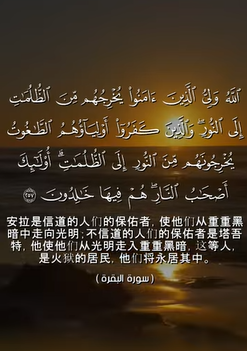 سورة البقرة: 257