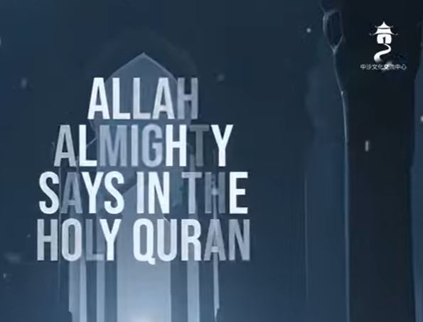 video title
