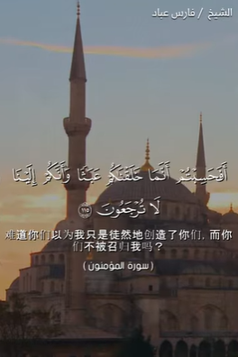 video title