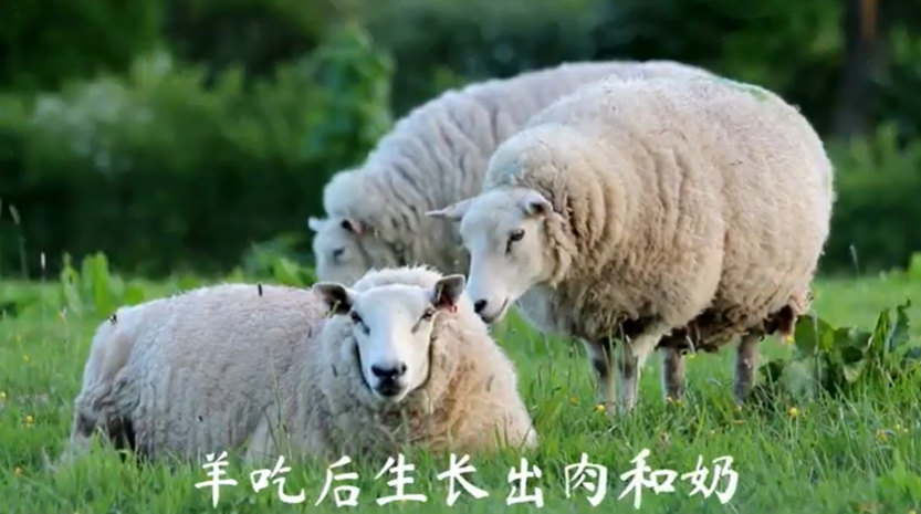 video title