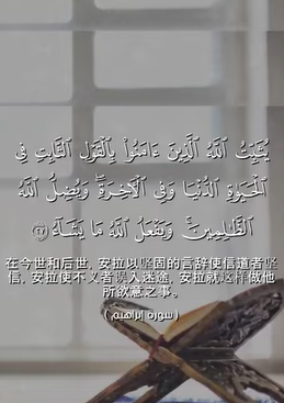 سورة إبراهيم: 27