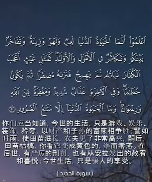 سورة الحديد: 20