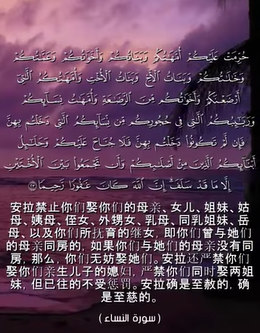 سورة النساء: 22-23